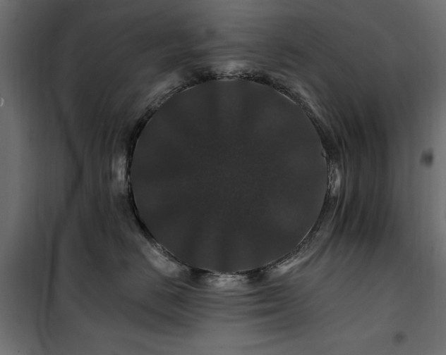 X0000100750670200806191145