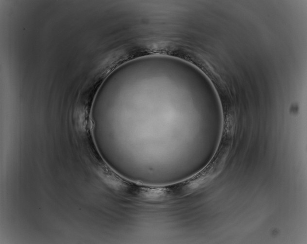 X0000100750671200806191145