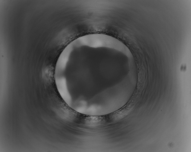 X0000100750672200806191145