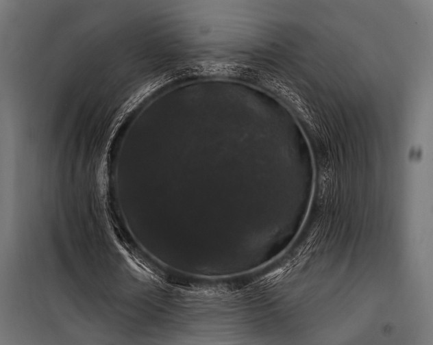 X0000100750674200806191144