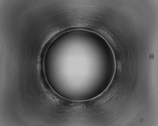 X0000100750676200806191144