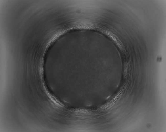 X0000100750677200806191144