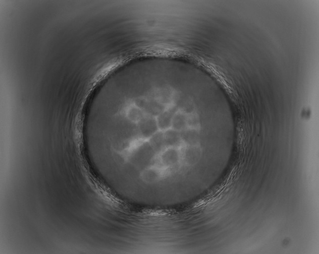 X0000100750679200806191144