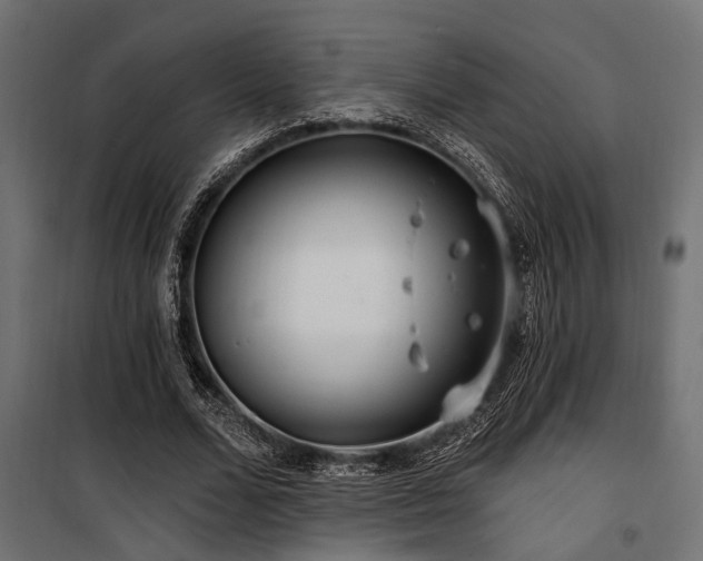 X0000100750680200806191144