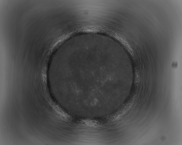 X0000100750681200806191144