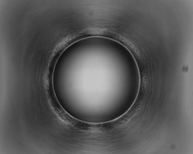 X0000100750682200806191144