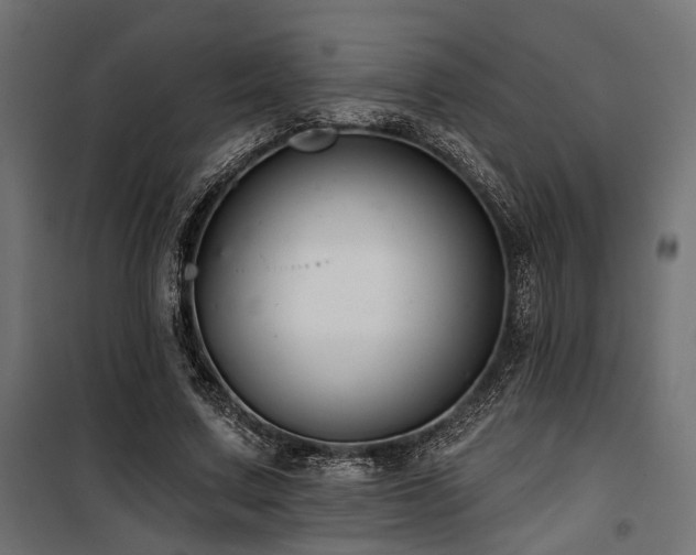 X0000100750683200806191144