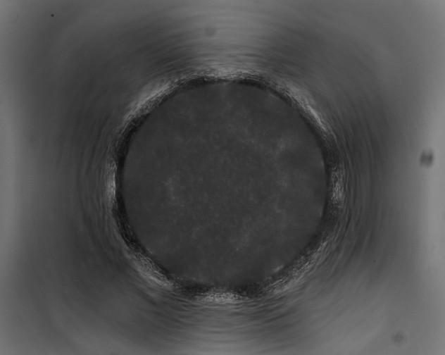 X0000100750685200806191144