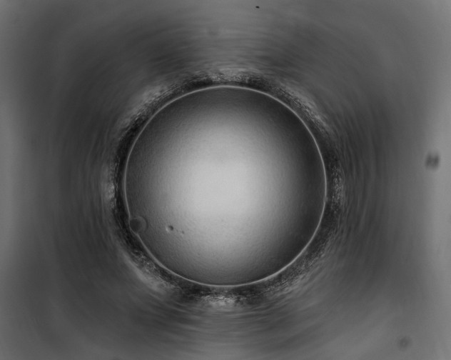 X0000100750687200806191144