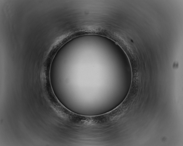 X0000100750688200806191144