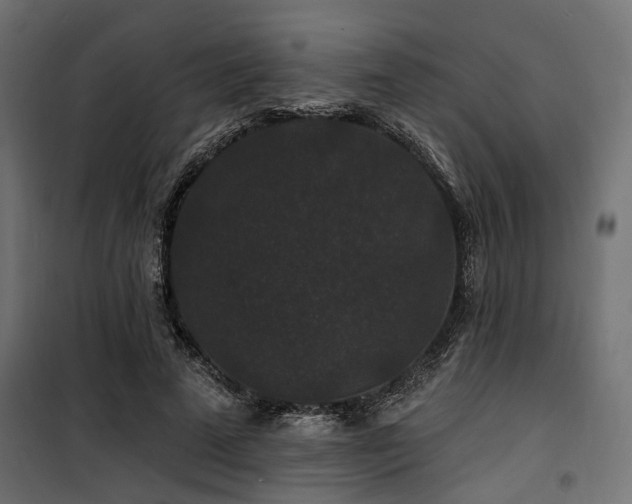 X0000100750689200806191144