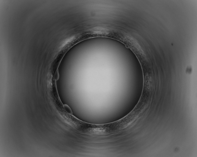 X0000100750692200806191144