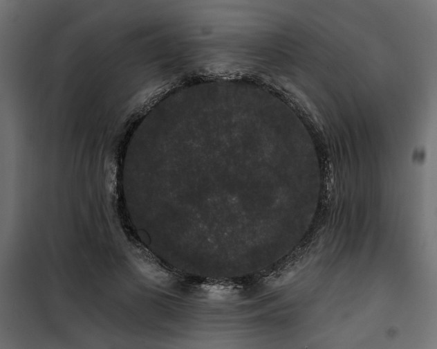 X0000100750693200806191144