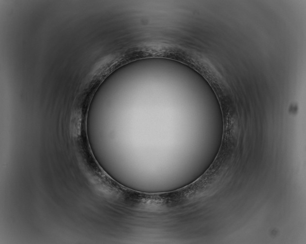 X0000100750694200806191144