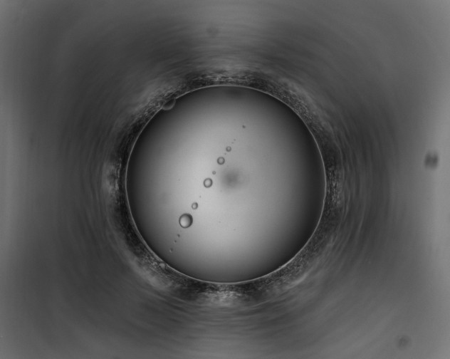 X0000100750695200806191144