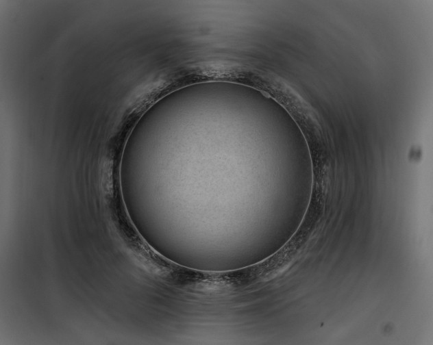 X0000100750696200806191144