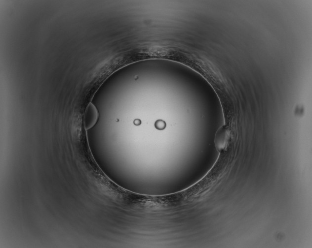 X0000100750697200806191144