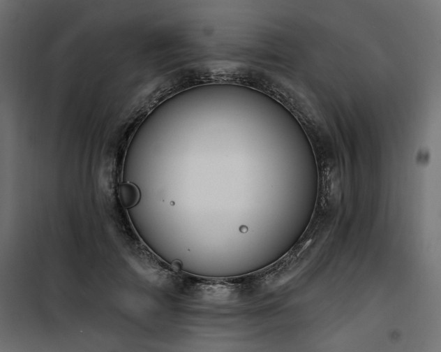 X0000100750698200806191144