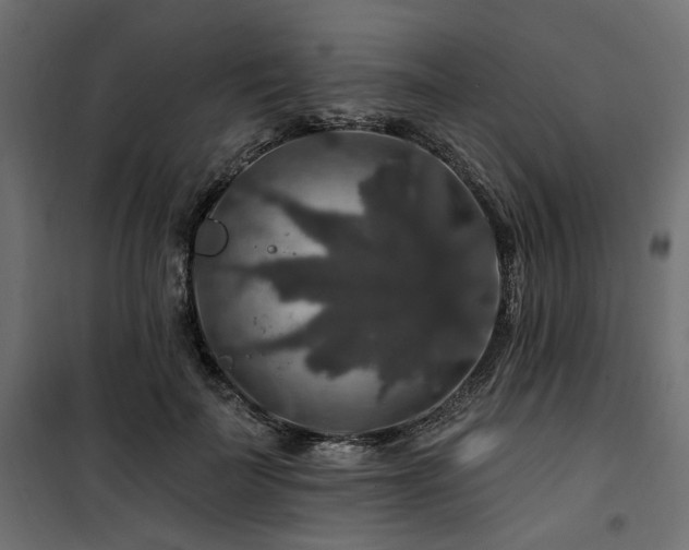 X0000100750699200806191144