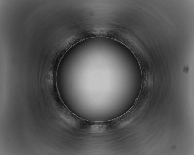 X0000100750700200806191144