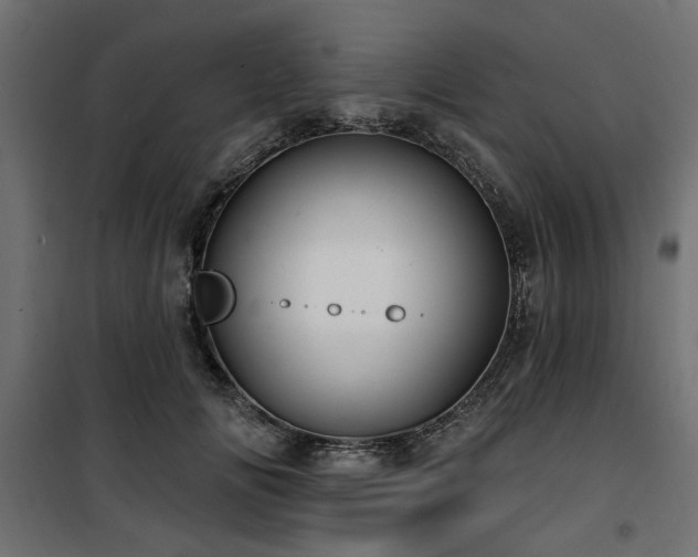 X0000100750702200806191144