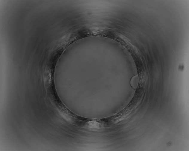 X0000100750703200806191144