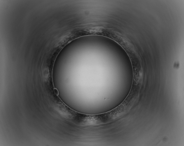 X0000100750704200806191144