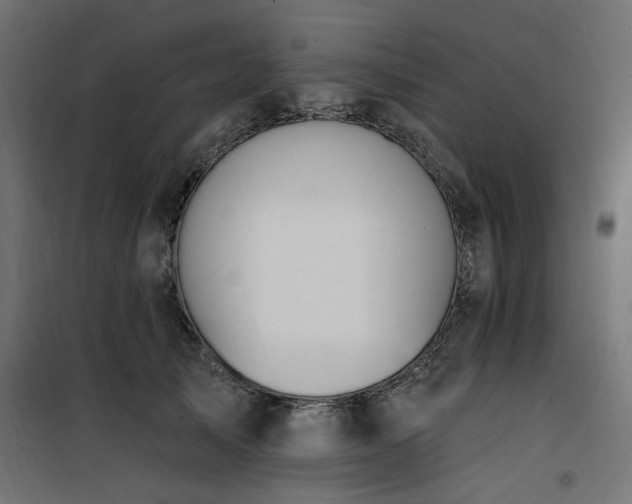 X0000100750705200806191144