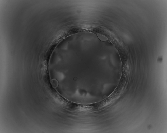 X0000100750707200806191144