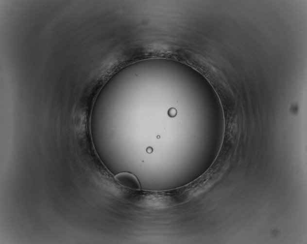 X0000100750708200806191144