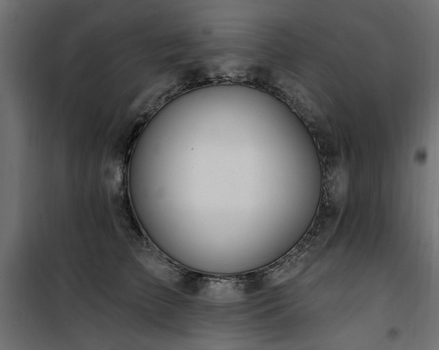 X0000100750709200806191144