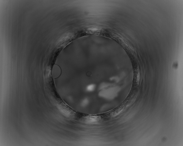 X0000100750711200806191144