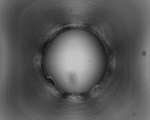 X0000100750712200806191144