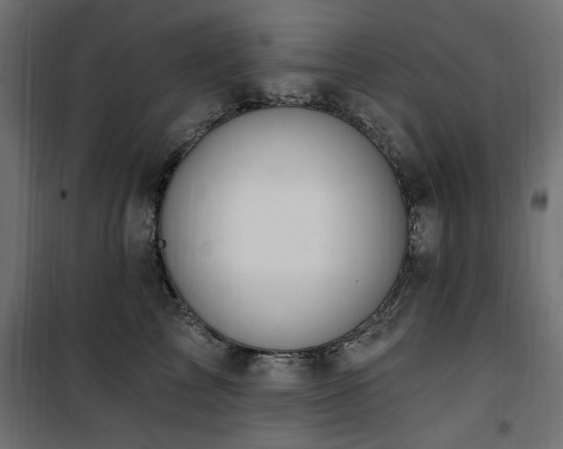 X0000100750713200806191144