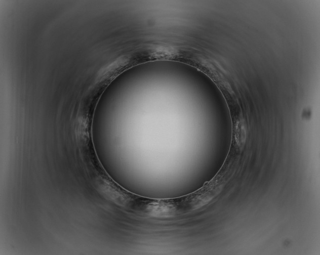 X0000100750714200806191144