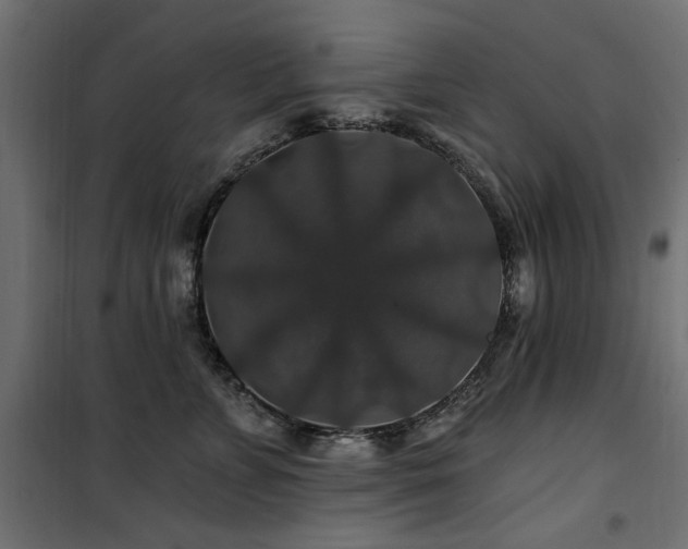 X0000100750715200806191144