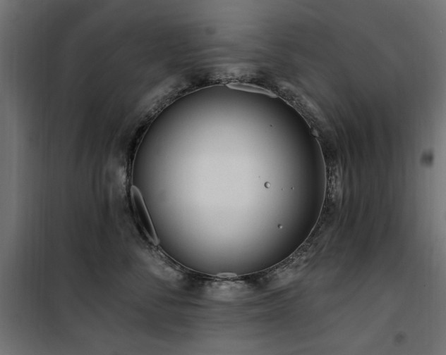 X0000100750716200806191144