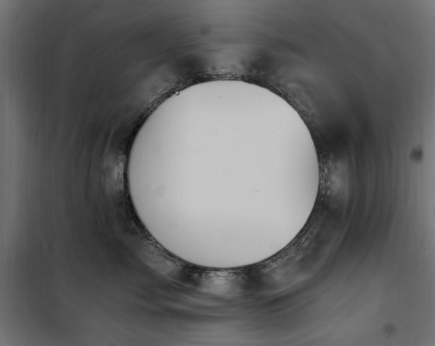 X0000100750717200806191143