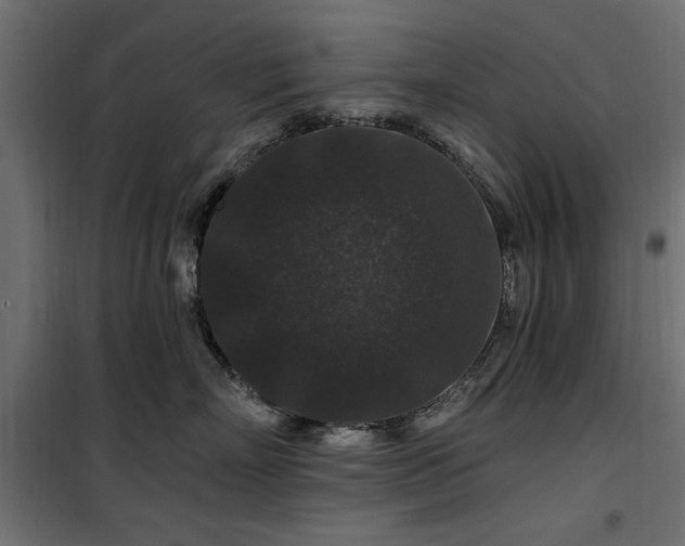 X0000100750718200806191143