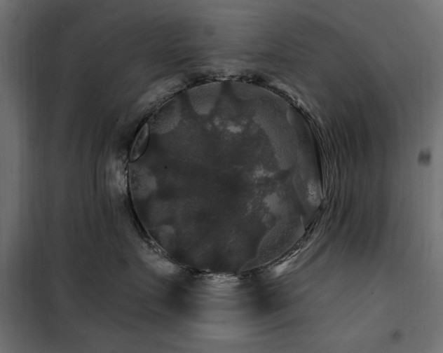 X0000100750719200806191143