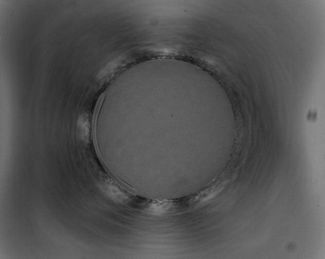 X0000100750720200806191143