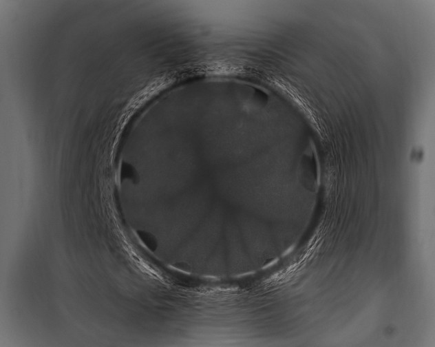 X0000100750721200806191143