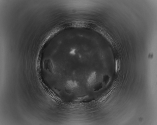 X0000100750723200806191143