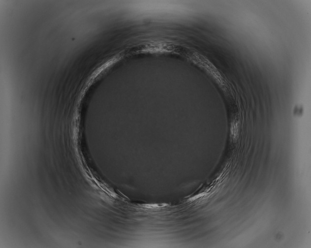 X0000100750724200806191143