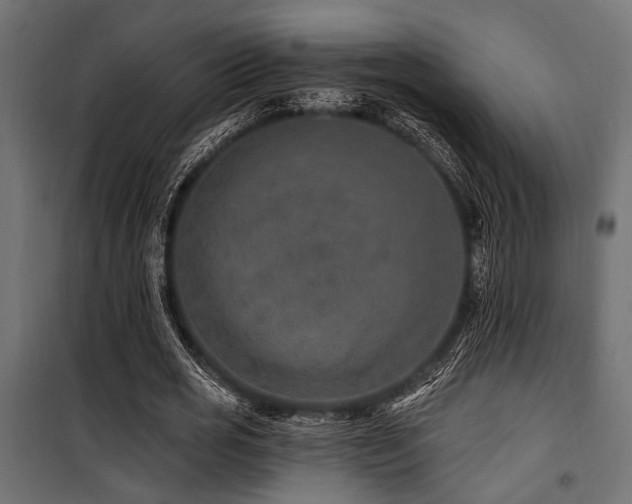 X0000100750725200806191143