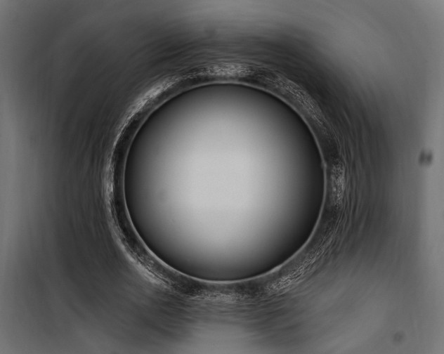 X0000100750726200806191143