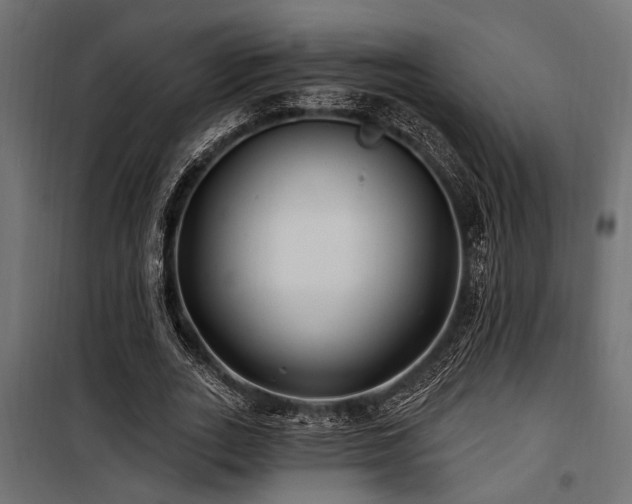 X0000100750727200806191143