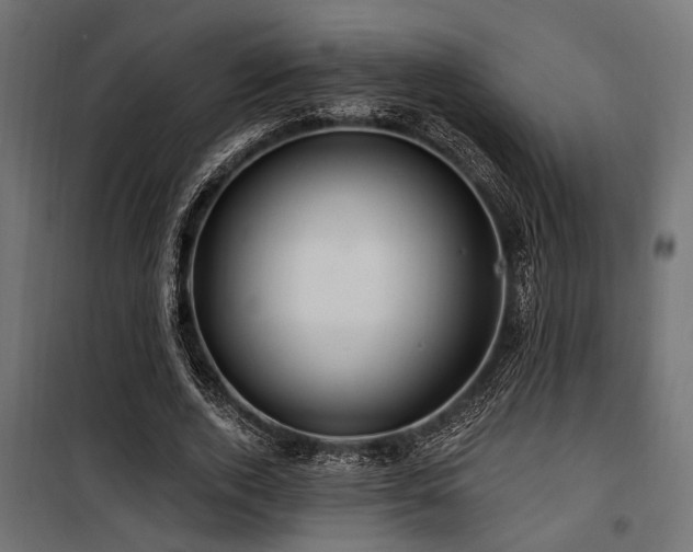 X0000100750728200806191143