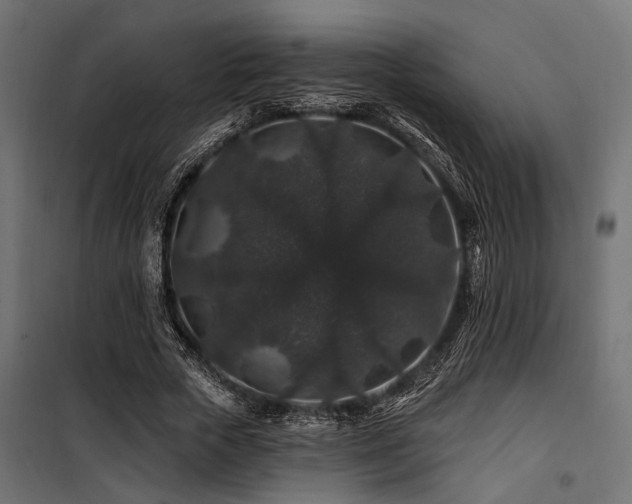 X0000100750729200806191143