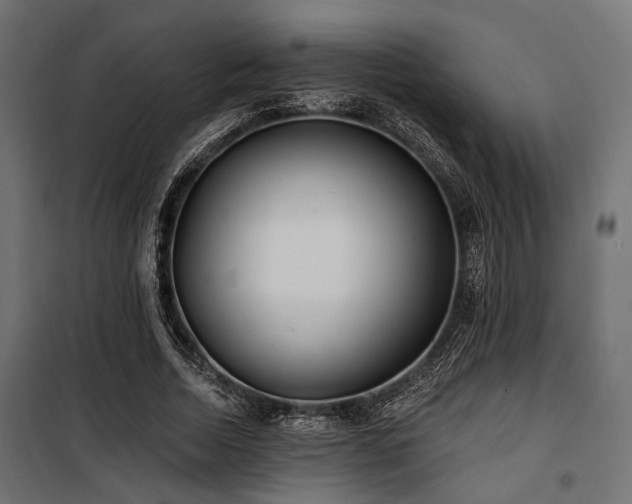 X0000100750730200806191143